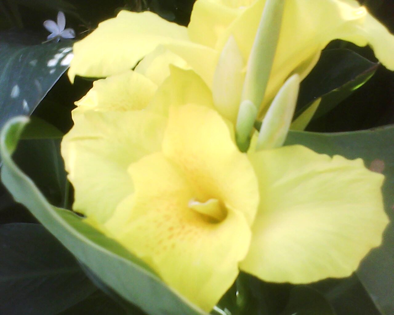 Dsc 0000040