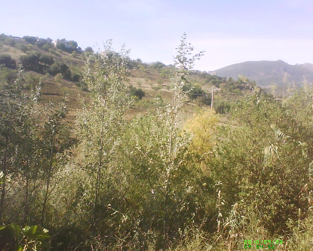 Dsc 0000073