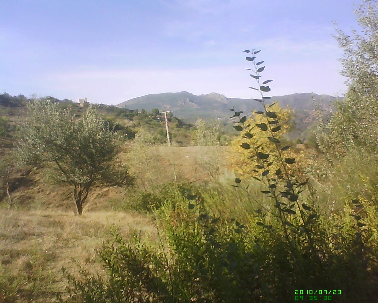 Dsc 0000074