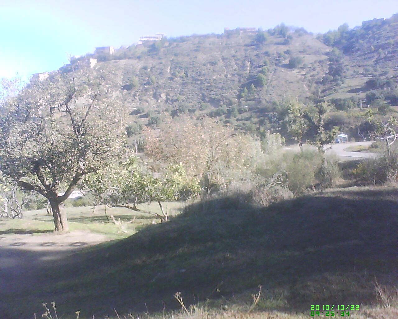 Dsc 0000092