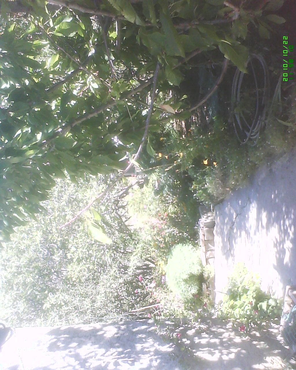 Dsc 0000093