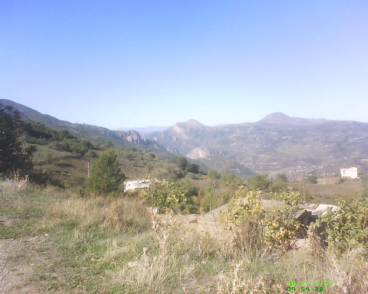Dsc 0000102