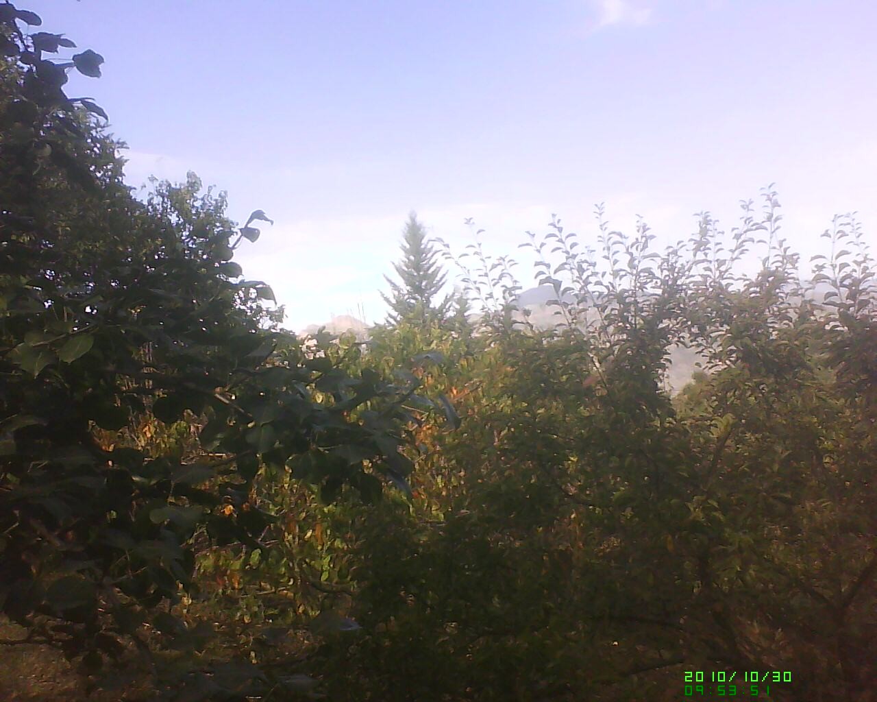 Dsc 0000103