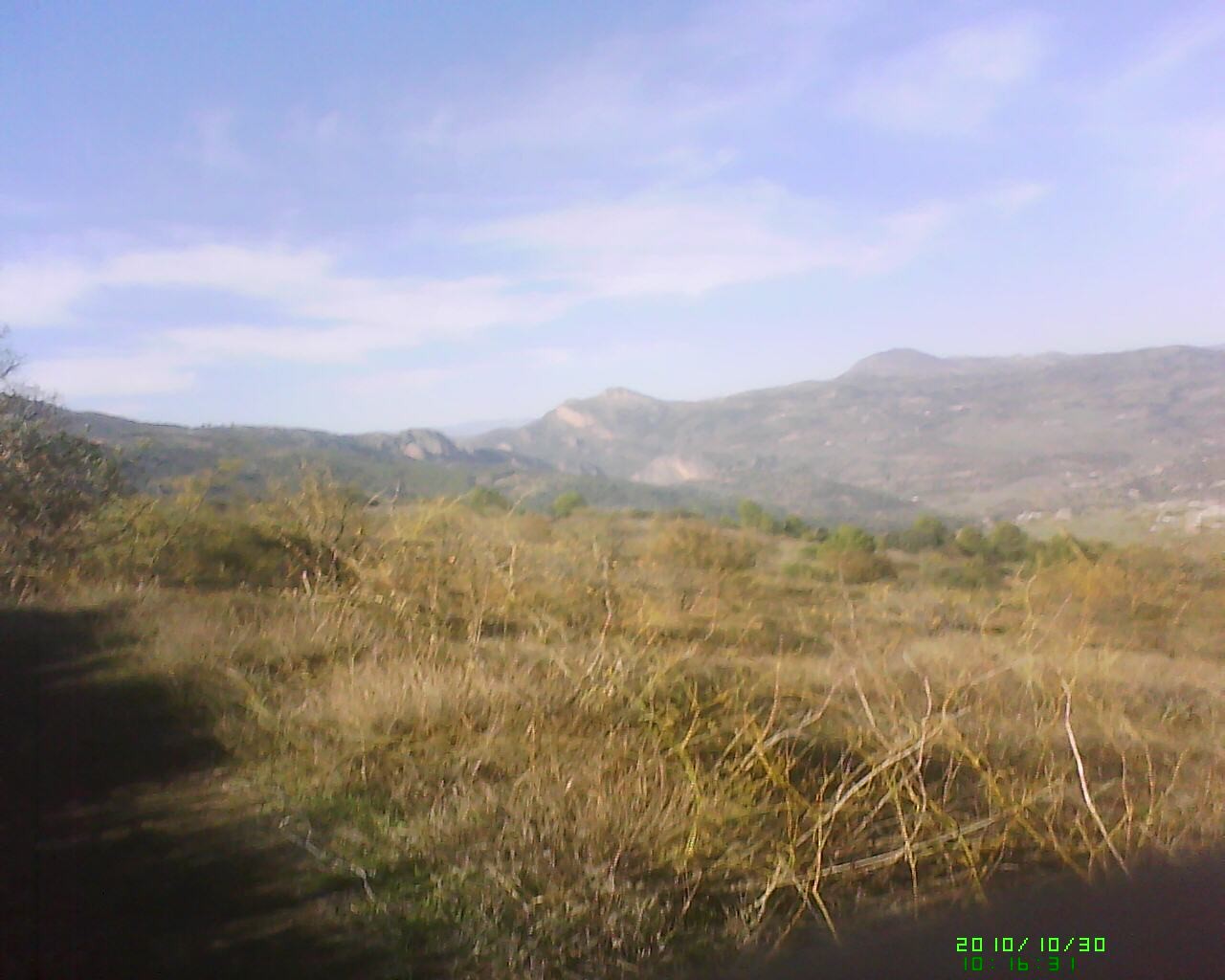 Dsc 0000105