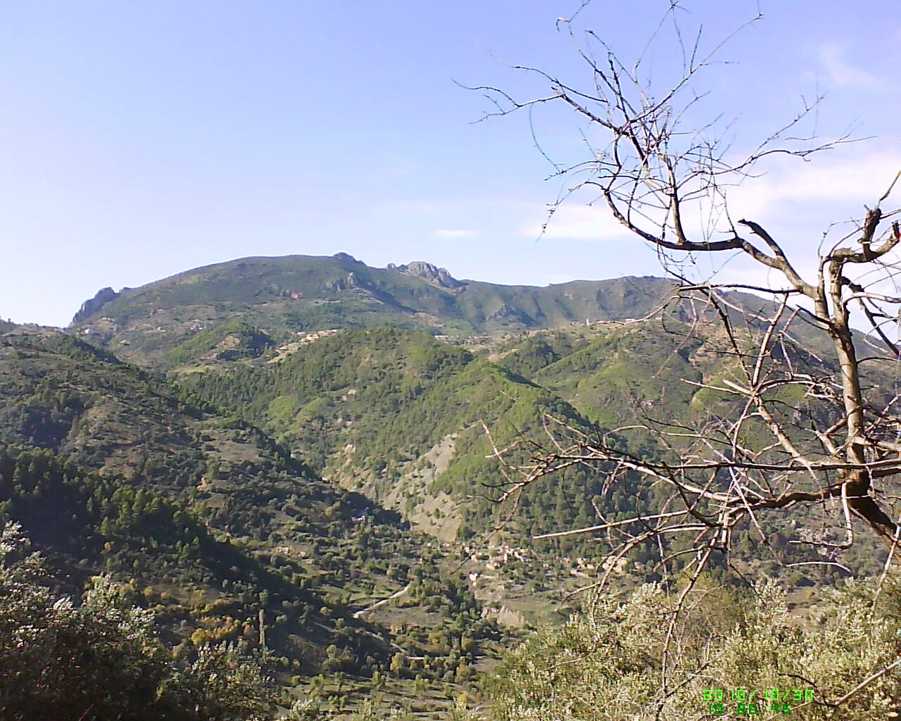 Dsc 0000106