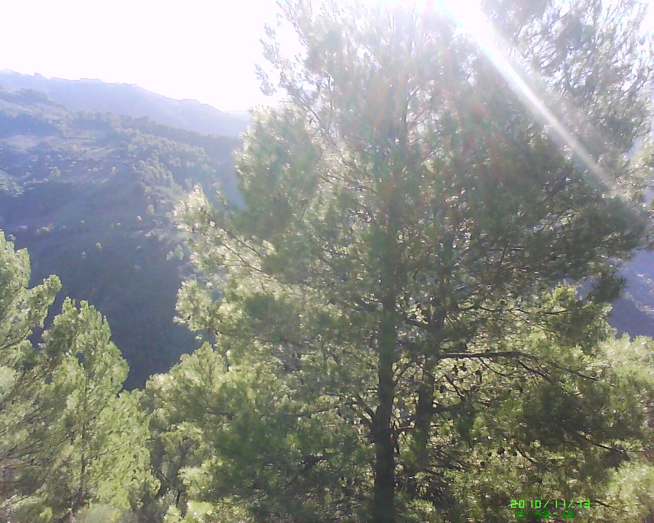 Dsc 0000117
