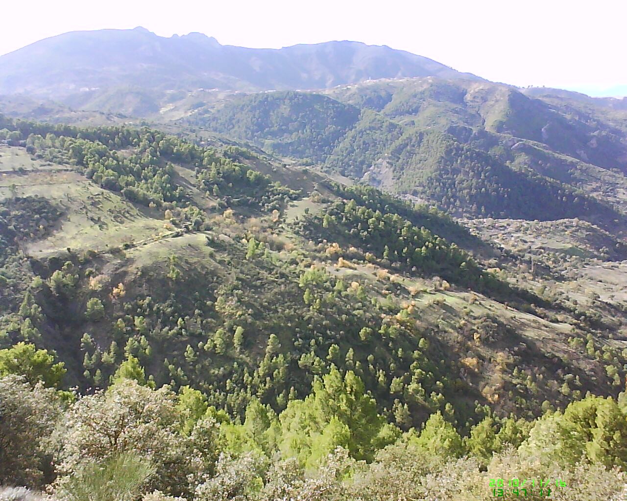 Dsc 0000118