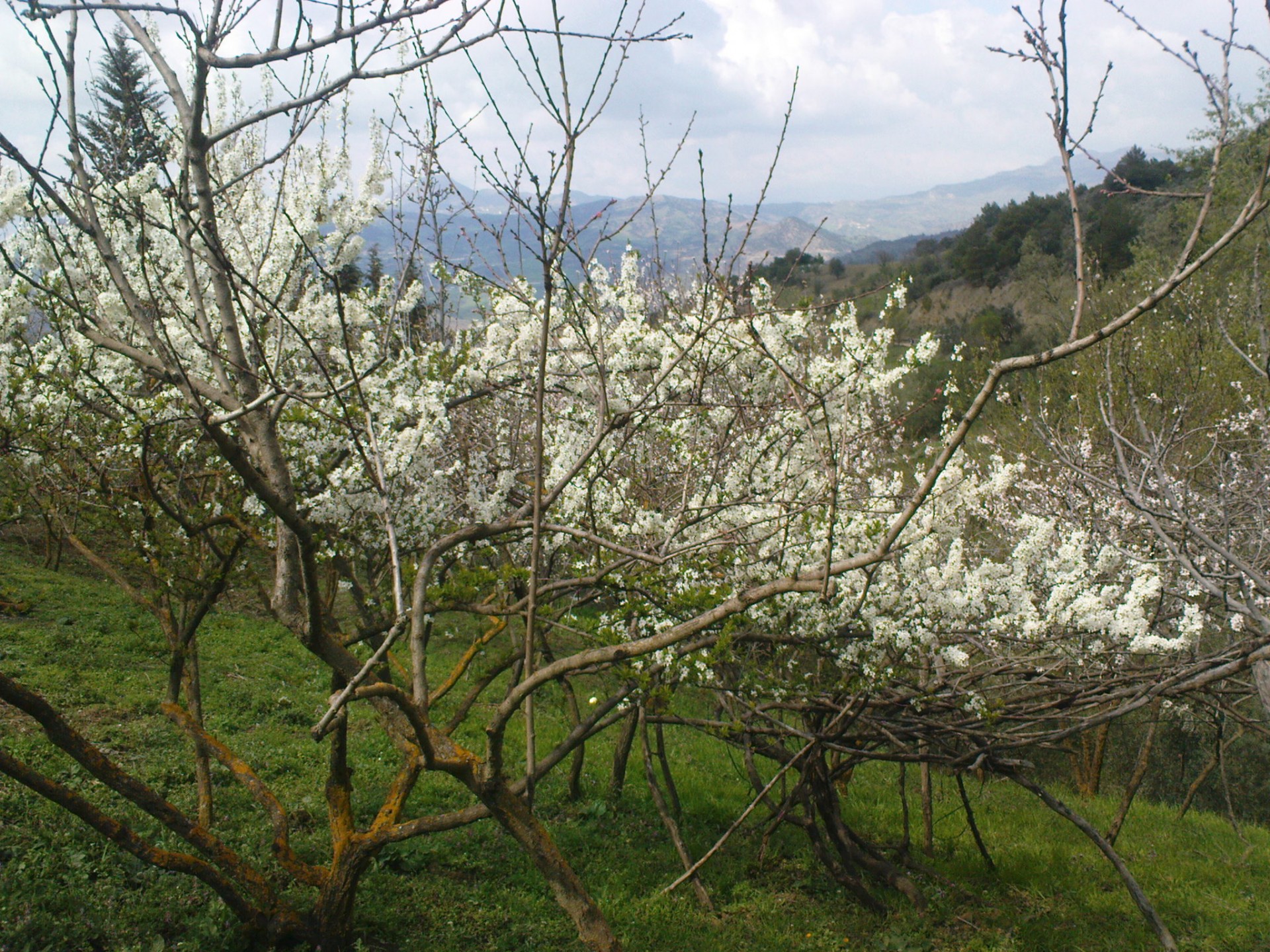 Dsc00340