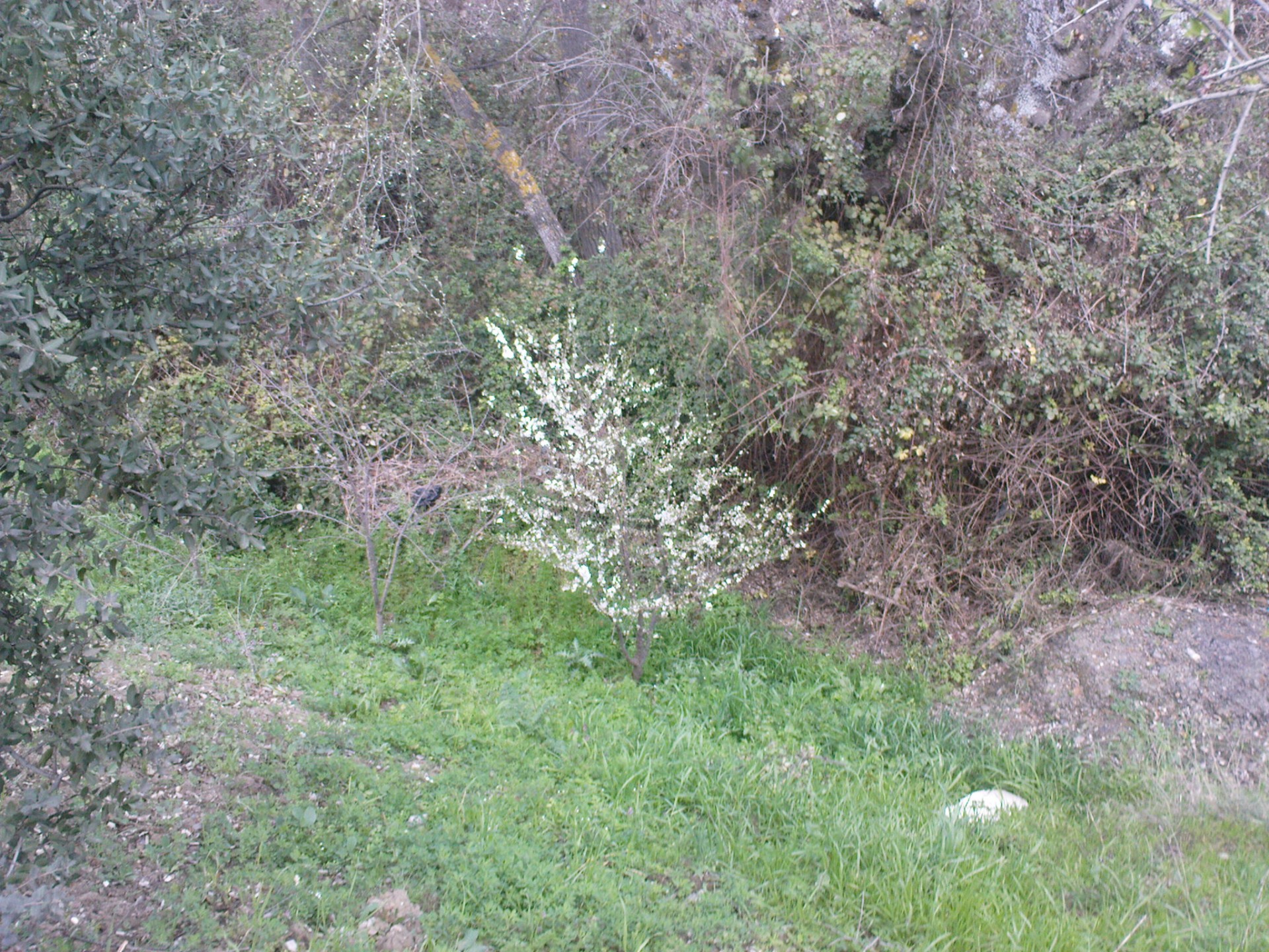 Dsc00344