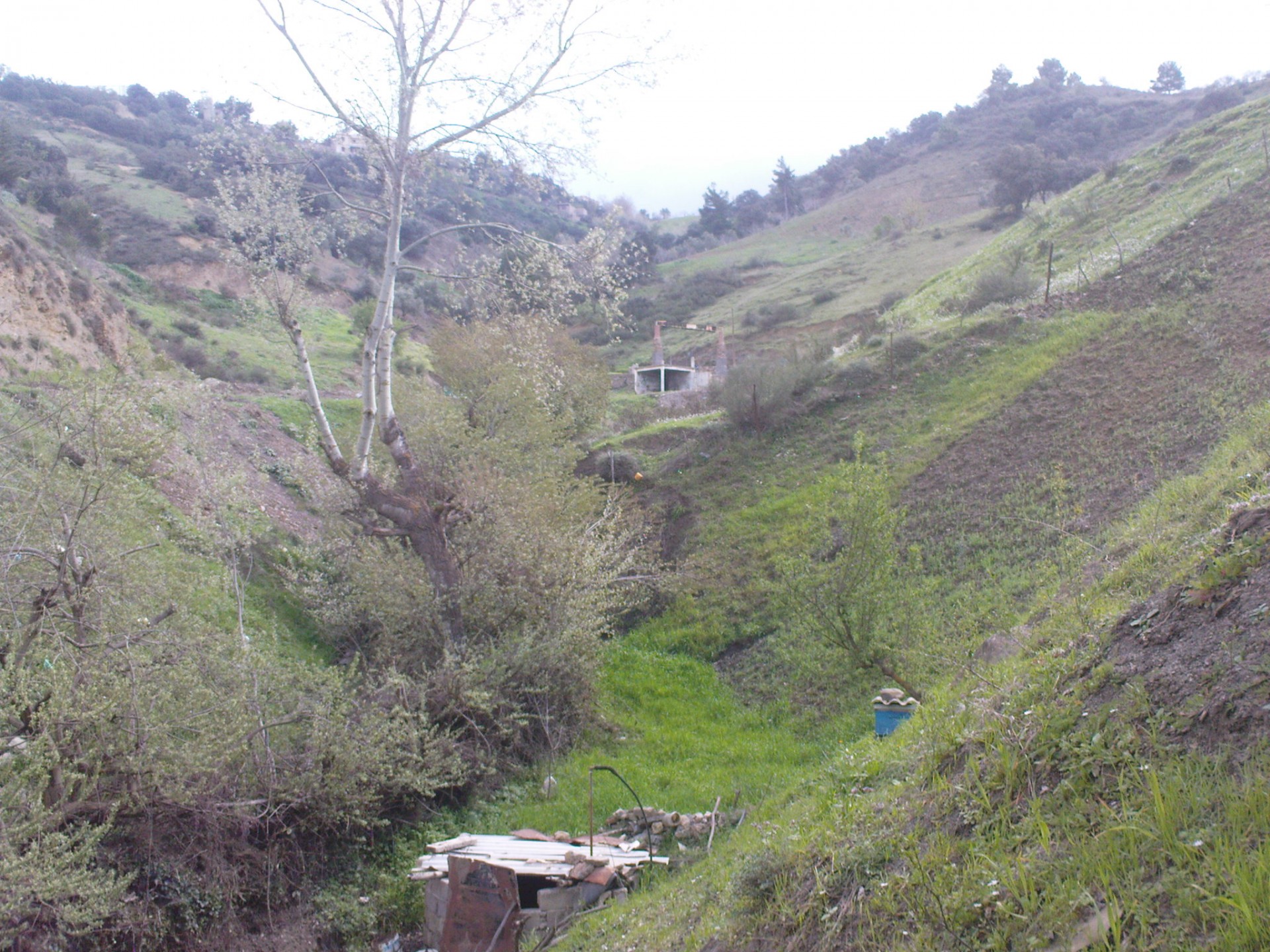 Dsc00345