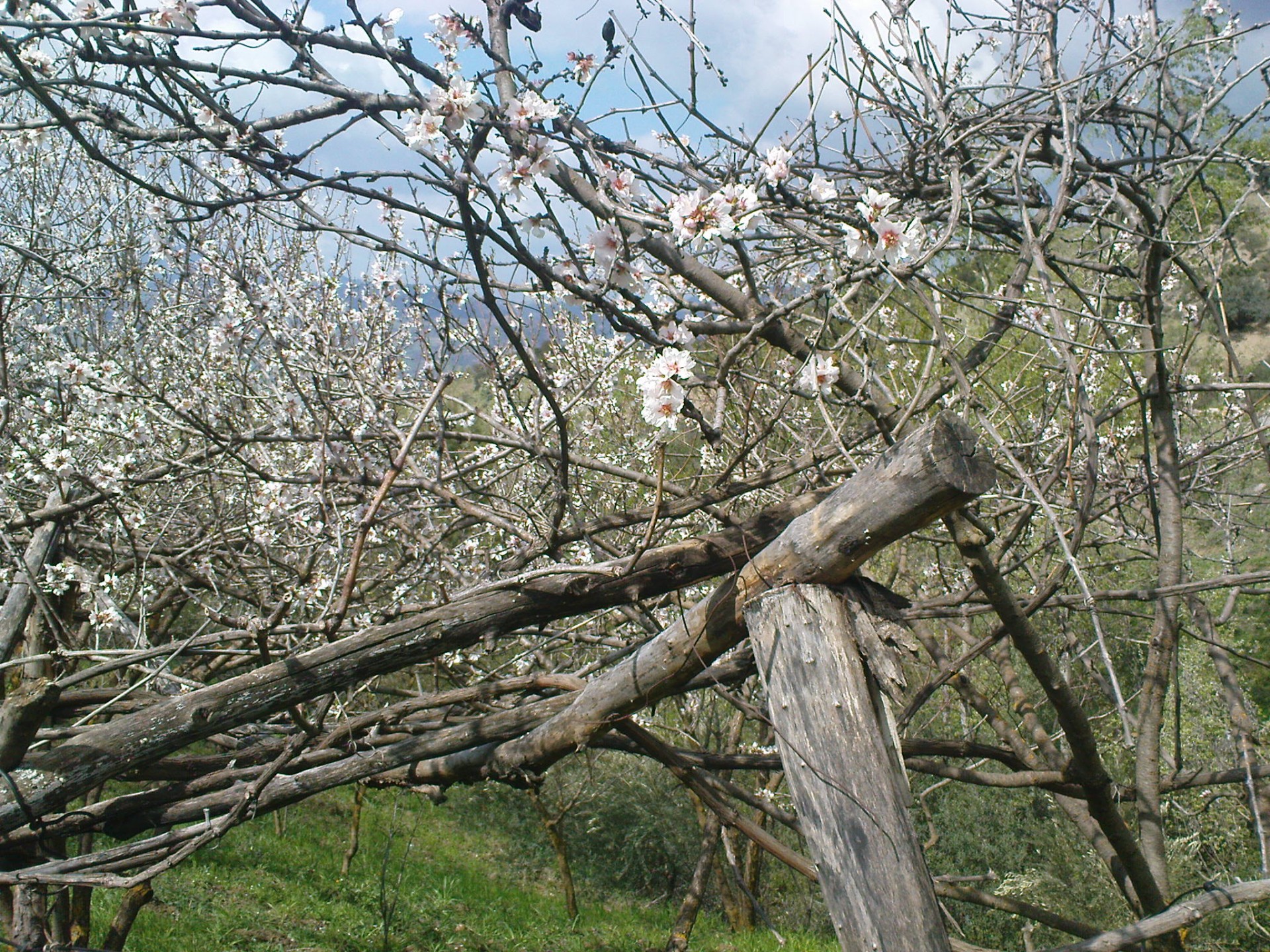 Dsc00351