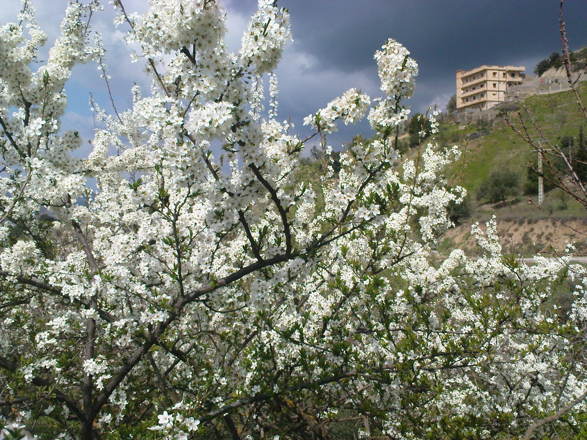 Dsc00354